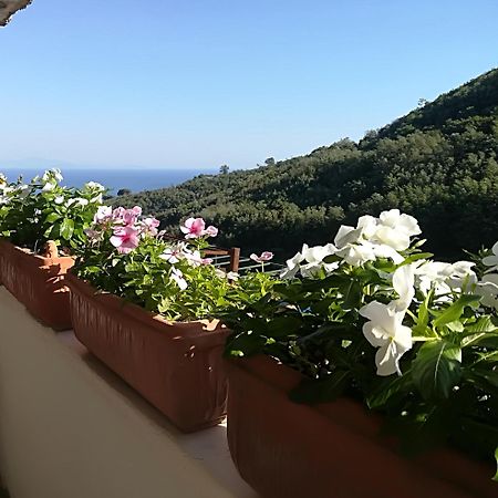 Il Covo Delle Civette Bed & Breakfast Vietri Exterior foto