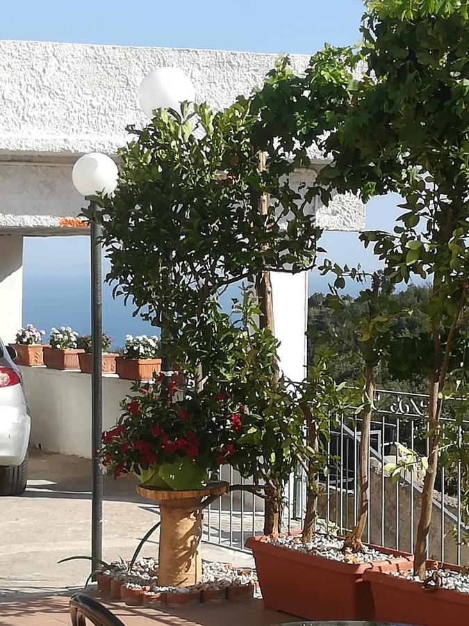 Il Covo Delle Civette Bed & Breakfast Vietri Exterior foto