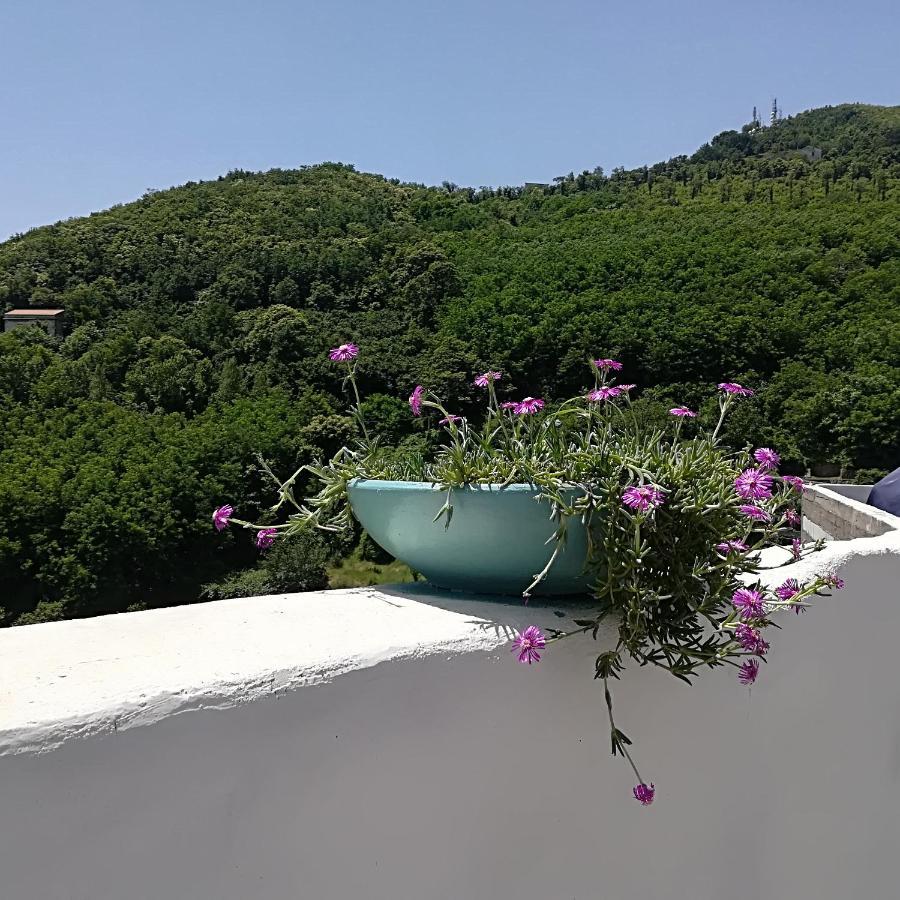 Il Covo Delle Civette Bed & Breakfast Vietri Exterior foto