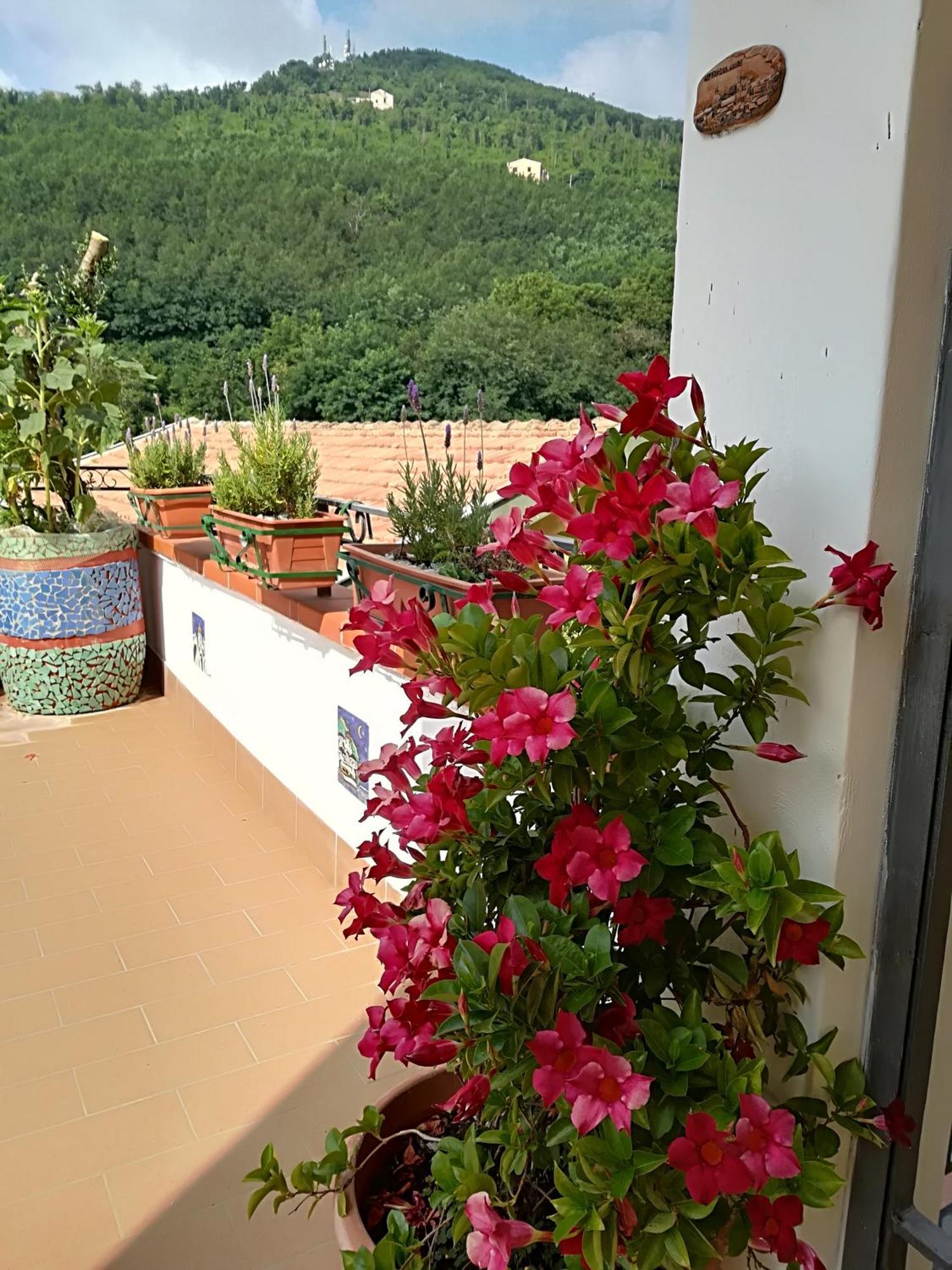 Il Covo Delle Civette Bed & Breakfast Vietri Exterior foto