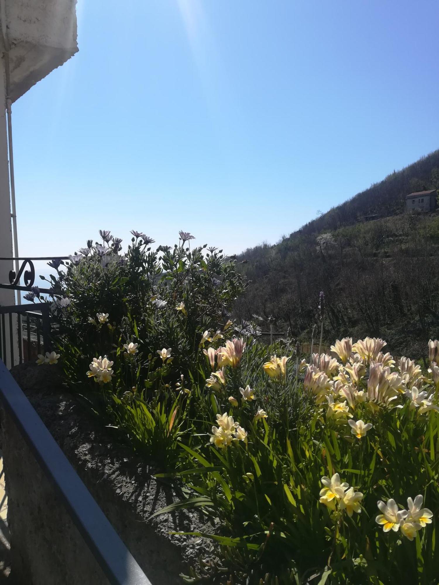 Il Covo Delle Civette Bed & Breakfast Vietri Exterior foto